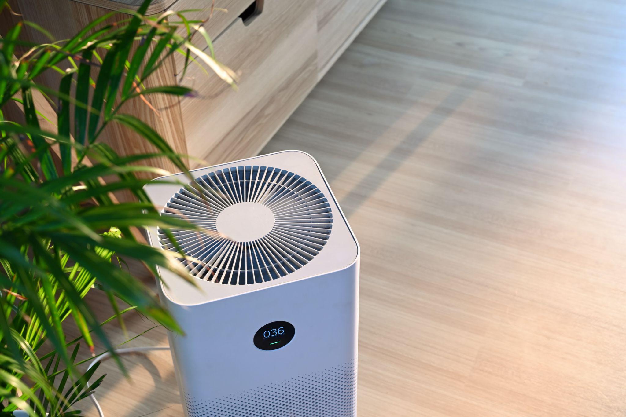 air purifier sits on wood floor next to green plant as sunshine beams light the are